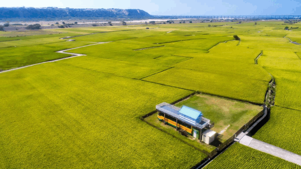 台中私房景點:外埔忘憂谷